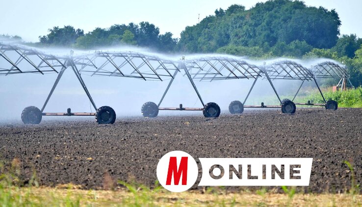 A mezőgazdasági titkárság az öntözött területek növelésén dolgozik