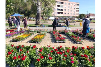 Tóth Péter/A főtér igencsak látványos formáját mutatta
