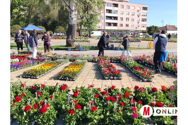 A főtér igencsak látványos formáját mutatta (Fotó: Tóth Péter felvétele)