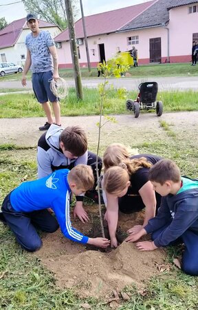 Gere Tünde/A faültetésben a gyerekek is segítettek