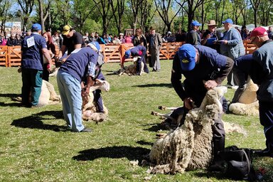 Horváth Zsolt felvétele
