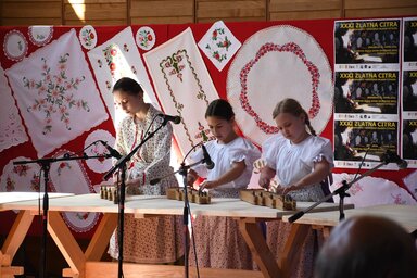 A magyarcsernyei Csernyei kezdő citeracsoport Somogyi dalokkal mutatkozott be / Fotó: Paraczky László