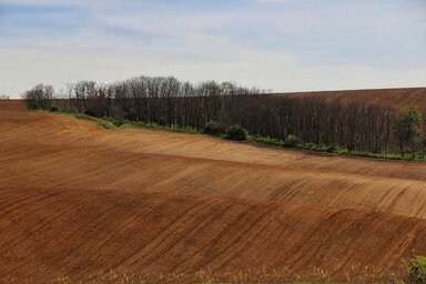 Illusztráció (Pixabay)