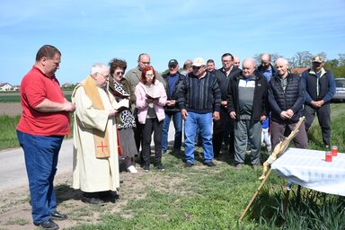 Megszentelték a búzát Kúlán is (Fotó: Paraczky László)
