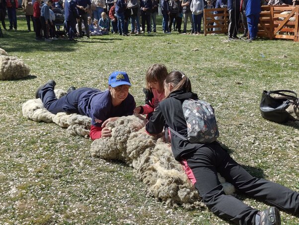 A gyapjú nemcsak munka, hanem élmény forrása is
