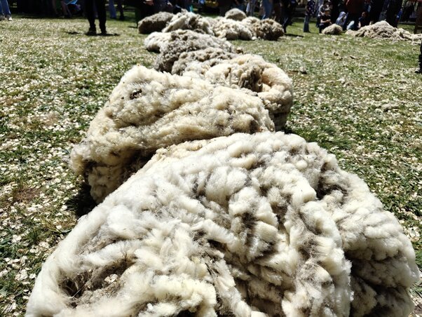 Bundahegyek a fűben