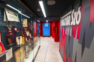 A Magyar Szó Sajtó- és Nyomdamúzeummal kapcsolatos információk a digitális térben a magyarszomuzeum.rs címen érhetők el (Dávid Csilla felvétele)