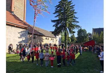 Kishegyesen a tűzoltóotthon melletti portán állítottak májusfát / Fotó: Paraczky László