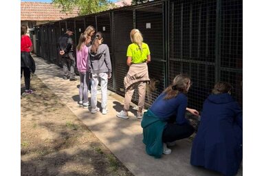 Sokan meglátogatták a menhely kutyusait / Fotó: Vidács Hajnalka