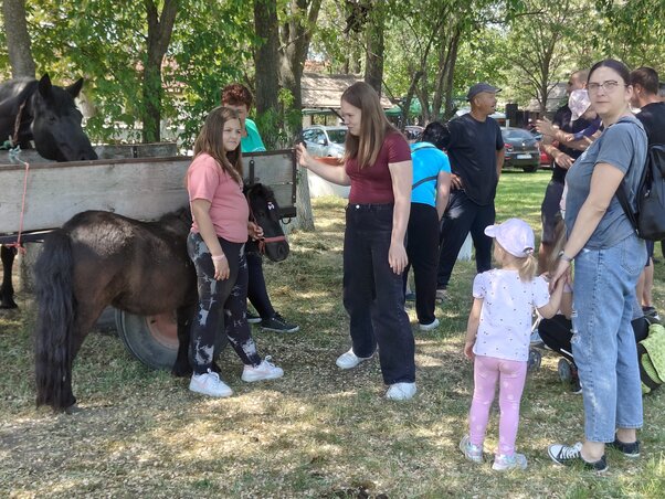 Árnyas fák alatt gyűltek össze a gyerekek és családok, hogy közelebbről is megismerkedjenek a barátságos pónikkal
