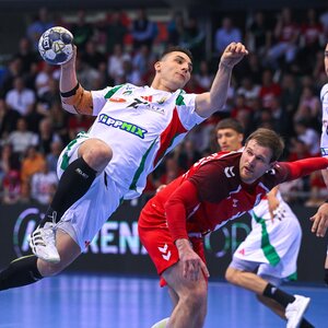 A magyar válogatott az IHF „kegyelmében” bízhat (Fotó: MTI)