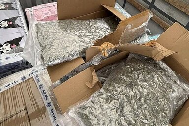 A hatóságok mintegy 19 kilogrammnyi marihuánát foglaltak le (Fotó: Uprava carina RS)