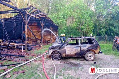 Már az oltás vége felé tartanak (Fotó: Bajić jenei Klementina felvétele)