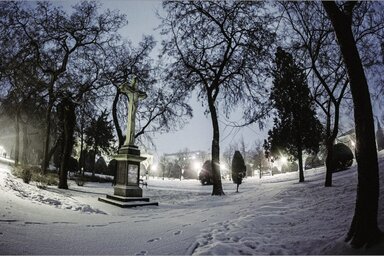 A nagy park télen (Milan Djurdjev felvétele)