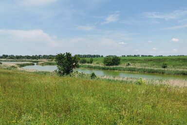 Herceg Elizabetta/archív