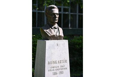 Dr. Munk Artúr mellszobra / Fotó: Molnár Edvárd
