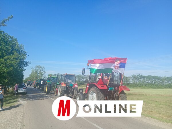 Bajić Jenei Klementina felvétele