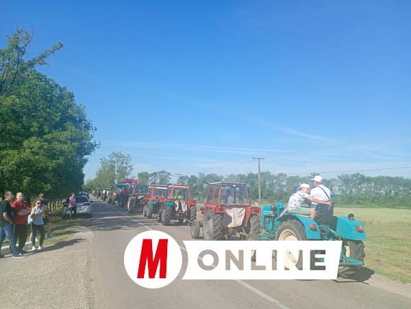 Bajić Jenei Klementina felvétele