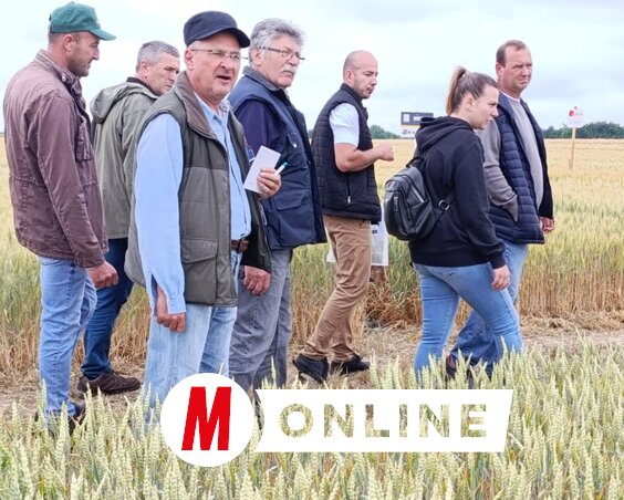 A termelők érdeklődve nézték a tesztföldeket (Vidács Hajnalka felvétele)