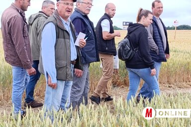 A termelők érdeklődve nézték a tesztföldeket (Fotó: Vidács Hajnalka)