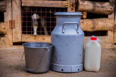 A termelők szerint a tejüzemek kihasználják az állam gyengeségét – miközben a gazdáknak filléreket fizetnek, a bolti árak magasan tartásával extraprofithoz jutnak (Fotó: Pexels.com)