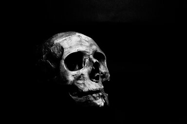 A kutatás segíthet a pestisbaktérium evolúciójának megértésében, és ez a jövőre vonatkozóan is fontos ismeret lehet a kórokozók megjelenésével kapcsolatban (Fotó: Pexels.com)