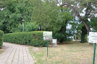 Alacsony növényzet ma már csak a park bejáratánál, a főösvény mentén található (Vidács Hajnalka felvétele)