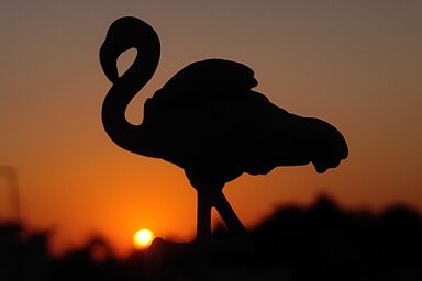 Több európai parlamenti képviselő is támogatásáról biztosította az úgynevezett „Flamingó-forradalom” résztvevőit (Fotó: Pexels.com)