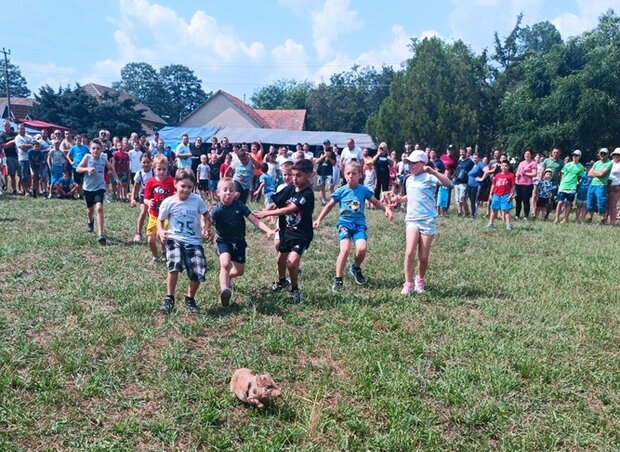 A kismalacok már vadabbak voltak, mint a nyuszik, megdolgoztatták a gyerekeket