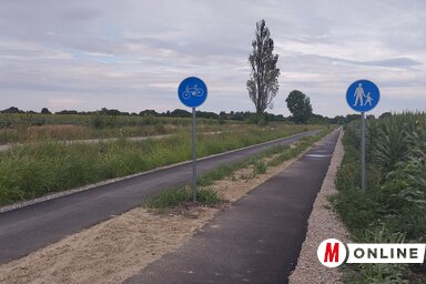 A Bácsföldvár és a Gyöngysziget közötti gyalogos- és kerékpárút jelenlegi állapota (Fotó: Kancsár Izabella)