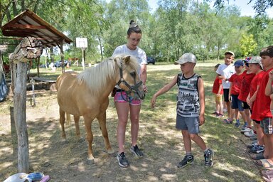A gyerekek megismerkedtek a lovakkal és a lovak körüli munkákkal (Gergely Árpád felvétel)