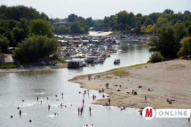 Újvidéken a strandról a Horgászszigetre combig érő vízben sétálhatunk át (Fotó: Dávid Csilla)