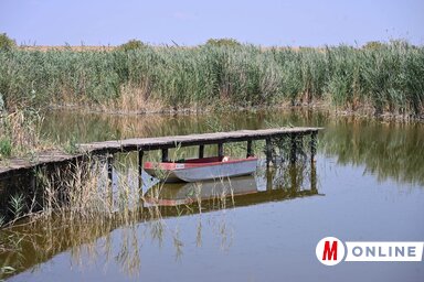 A csatornázott utánpótlás sem képes teljes mértékben pótolni a hiányt (Fotó: Molnár Edvárd)