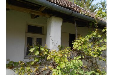 Fotó: Salánki Anikó