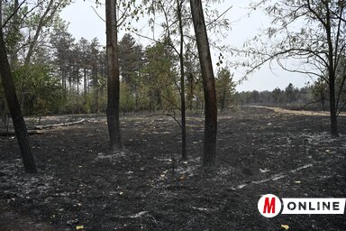 A szél miatt a tüzek rövid idő alatt nagy területekre is kiterjedhetnek (Fotó: Molnár Edvárd archív felvétele)