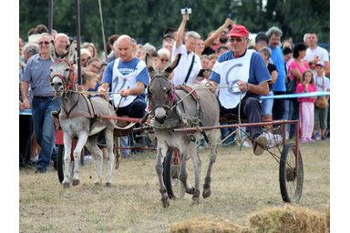 Fotó: Benedek Miklós archív felvétele