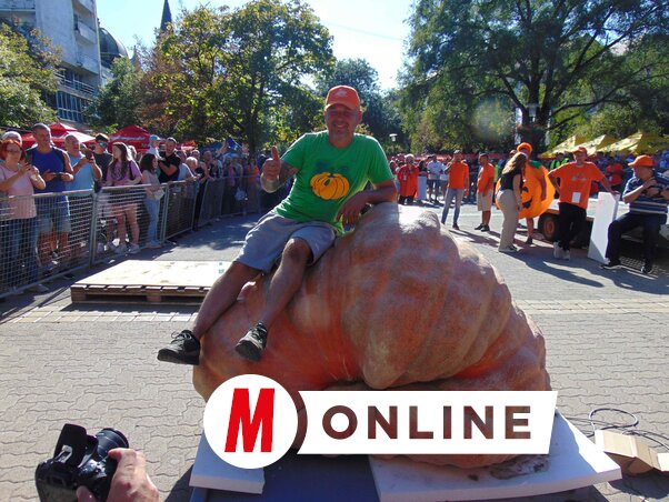 A rekordot a magyarországi Kókai Tibor tartja: három évvel ezelőtt egy 865,5 kilogrammos terméssel nyerte meg a megmérettetést (Fotó: Vidács Hajnalka felvétele)