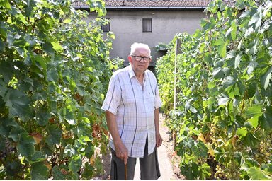 Sinka Ferenc / Fotó: Molnár Edvárd