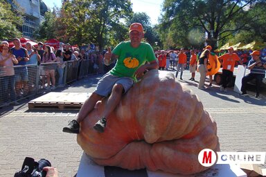 A tökrekordot a magyarországi Kókai Tibor tartja: három évvel ezelőtt egy 865,5 kilogrammos terméssel nyerte meg a megmérettetést (Fotó: Vidács Hajnalka)