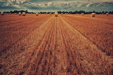 Fotó: Pixabay