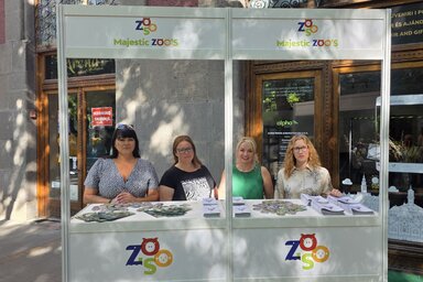 2026-os év az egyik legsikeresebb turisztikai időszak lehet Szabadkán (Fotó: suboticke.rs)
