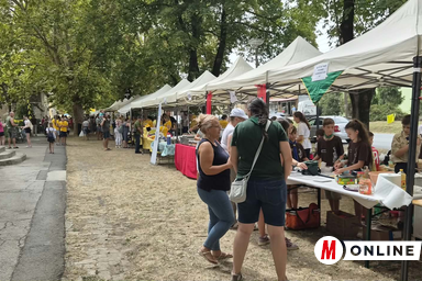 A római katolikus templom előtt az idén 15 csapat sütötte a palacsintát (Fotó: Kancsár Izabella)