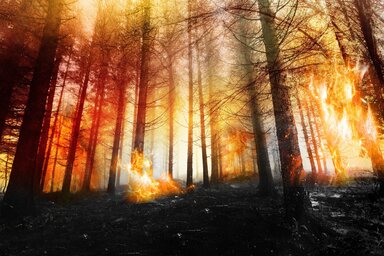 Pixabay.com