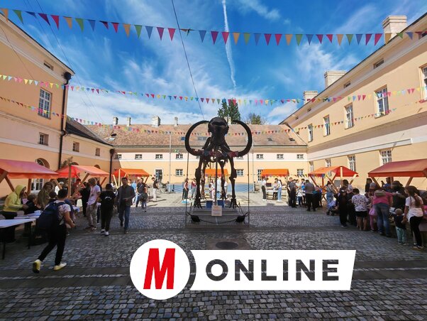 A múzeum udvara megtelt gyermekekkel (Vidács Hajnalka felvétele)