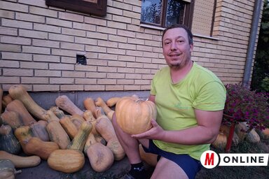 Füstös Arnold a piacra előkészített tökökkel (Fotó: Paraczky László)