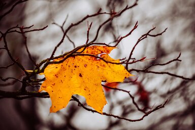 Pixabay.com