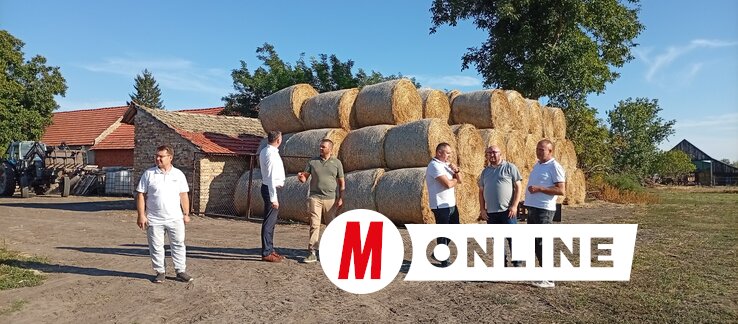 Legelő híján meg kell termelni az állatok eledelét/Vidács Hajnalka fotója