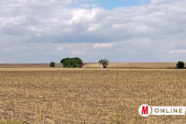 Az őszi vetés előtt a szárazság miatt a talaj előkészítése sem egyszerű feladat (Tóth Péter felvétele)