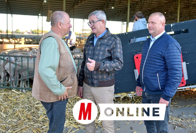 Borsos Csaba igazgató, Dragan Glamočić miniszter és Juhász Attila államtitkár (Fotó: Gergely Árpád)