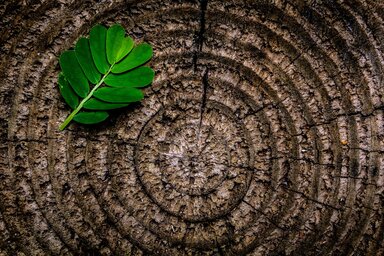 Illusztráció – Pixabay/Pexels